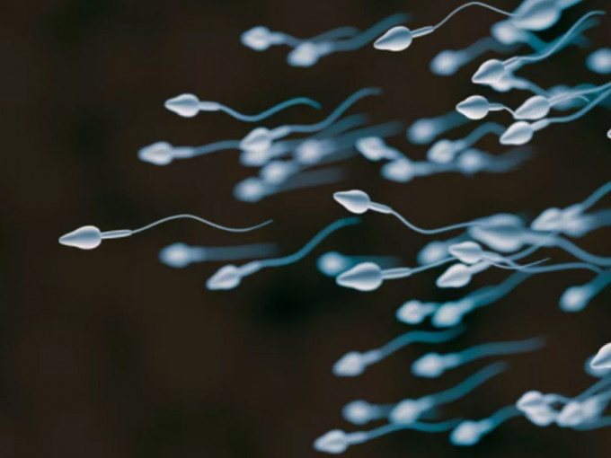 意大利研究指近20%新冠男康复者精液完全无精子。（示意图）
