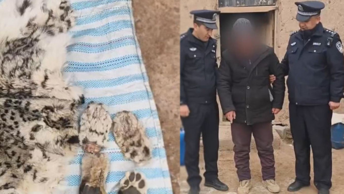 新疆有男子猎杀雪豹后，将它肢解食用被刑拘。影片截图