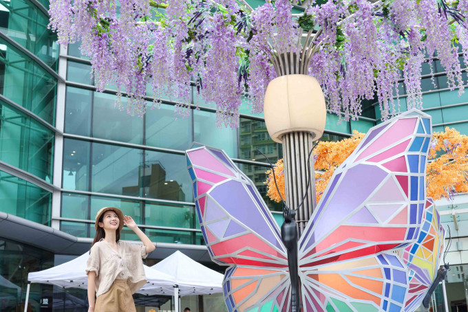 秀茂坪商场及慈云山中心均设蝴蝶打卡位。