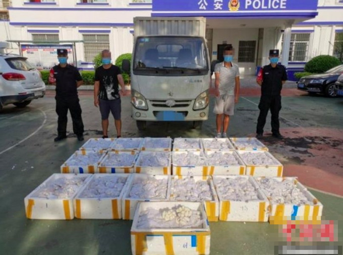 廣西警方截查一輛貨車檢獲逾萬顆眼鏡蛇蛋。 網圖