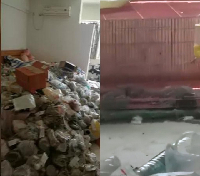 湖南長沙有一名女租客退租，房東李女士收屋發現整屋都是垃圾(左)及貓屍(右)。 微博圖