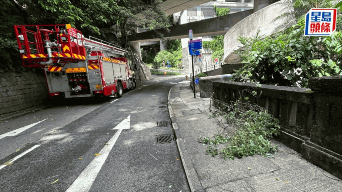 消防員將樹椏移至路邊。蔡楚輝攝