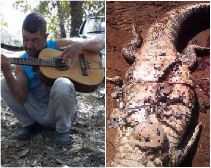 巴西一名農夫在河邊垂釣時被一條4米鱷魚吃掉。網上圖片