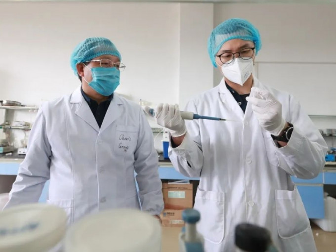 广西桂林电子科技大学陈真诚教授率领的团队研制出新冠病毒检测试纸。