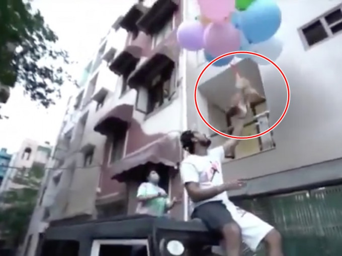 小狗身上被绑上一串氢气球升空。twitter截图
