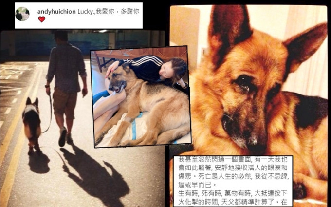 郑秀文上载爱犬相，发千字文抒发失去爱犬的伤痛。而许志安短短留下：「我爱你，多谢你」六个字，也感受到他的不舍。