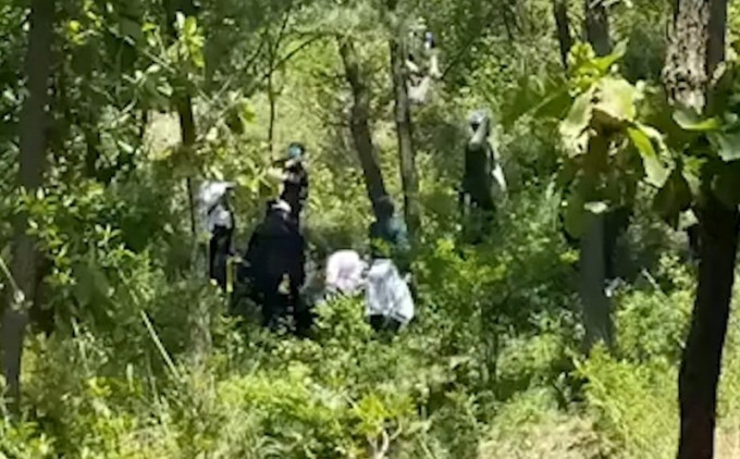 救護及工作人員找到了跌落樹林的女童。(網圖)