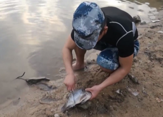 一名學生在河中釣到一條新鮮的淡水魚，即席生劏並切成「刺身」。網上圖片