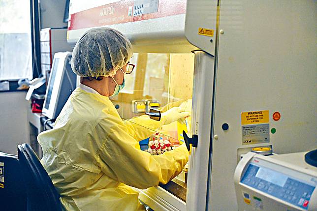病理學專科學院重申，目前診斷新型冠狀病毒以聚合酶鏈反應(PCR) 測試病毒核酸為首。 資料圖片