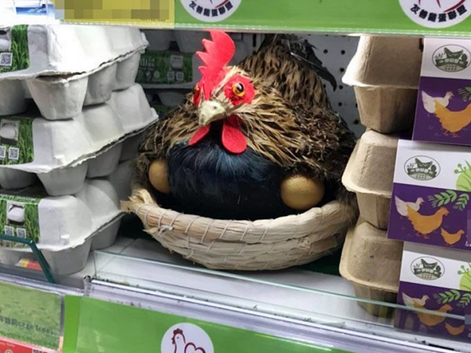 台湾卖场现「守护鸡」。Facebook群组「爆怨公社」图片