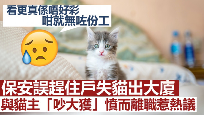 unsplash图片(示意图；非涉事猫咪)