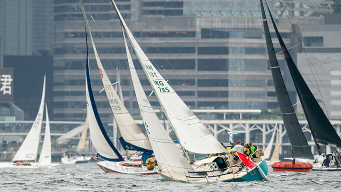 香港遊艇會主辦的「回歸帆船賽」今日在維港上演。