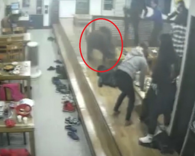 一只野猪突然闯入一间猪肉泡菜锅店，客人慌忙逃走。网图
