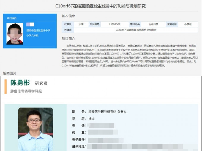 云南一名小六生研究基因获全国大奖被撤销，其父亲陈勇彬承认「过度参与」。 网图