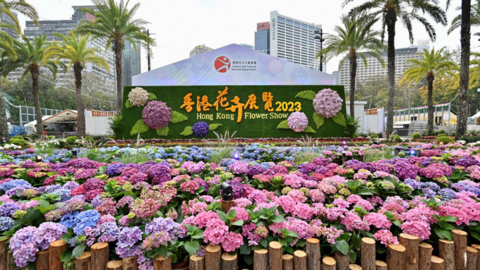 香港花卉展览大会今日（20日）将状态仍然良好及可再种植的3千盆花卉派发给市民。资料图片