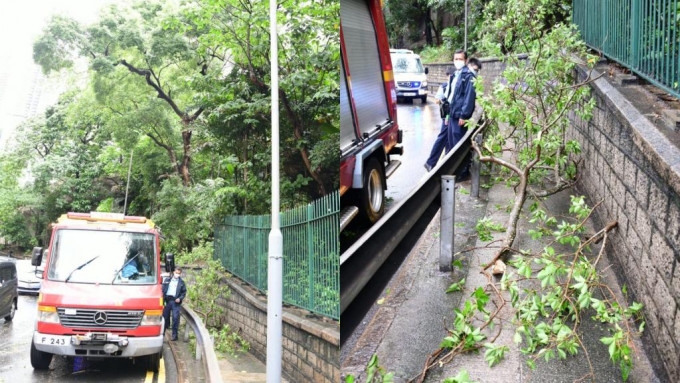 警方到場處理。楊偉亨攝