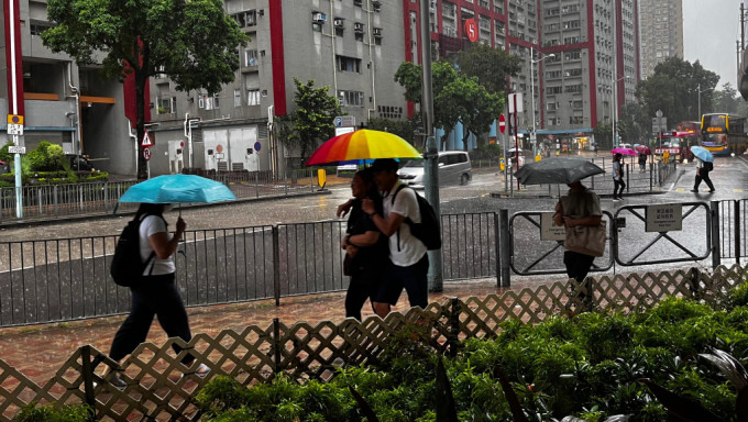 黃雨下，巿民都打傘前行。李健威攝