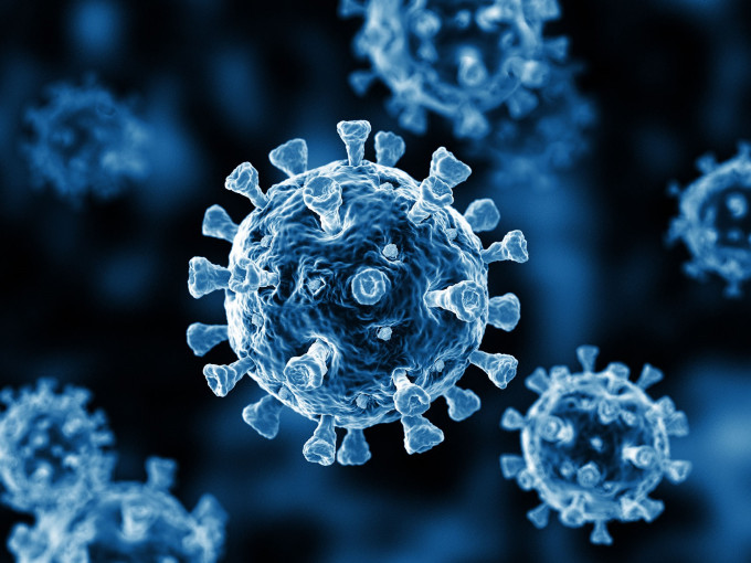 美方的報告指出，可能永遠無法得知新冠病毒的起源。