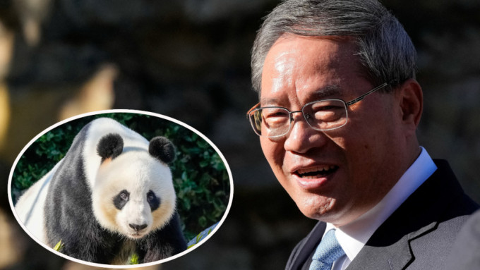 总理李强到访澳洲阿德莱德动物园，并宣布将提供澳洲2只新熊猫。(圆图：大熊猫旺旺)（路透社）