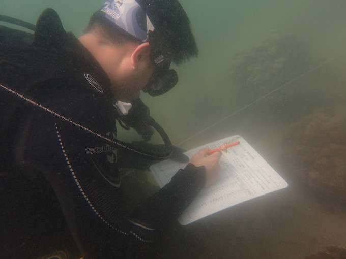 珊瑚礁普查员记录指标品种、珊瑚覆盖率和其健康状况。