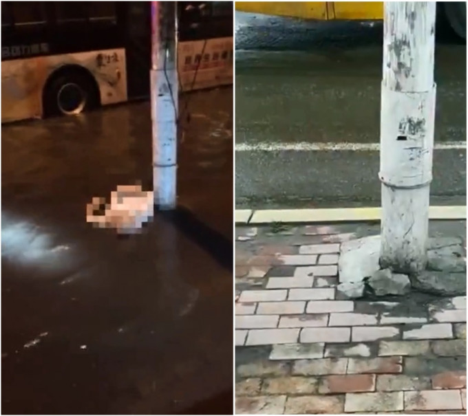 哈尔滨男子撞到电灯柱触电身亡。网上图片
