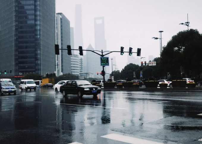上海已经多日下雨。网上图片