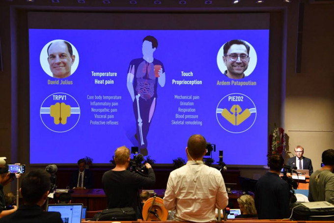 本年度諾貝爾醫學獎由David Julius（大屏幕左）和Ardem Patapoutian（大屏幕右）奪得。
