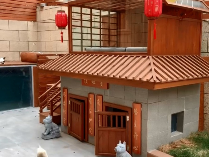 江蘇狗主人花過萬元為狗建豪華別墅，有泳池烘乾房。影片截圖