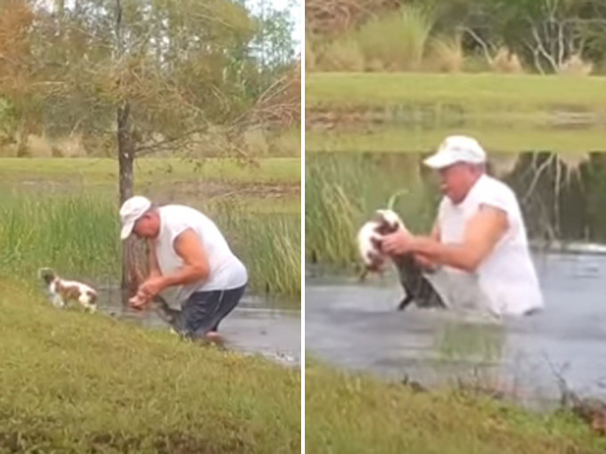 美國74歲老翁為救愛犬 ，跳入湖中徒手掰開鱷魚嘴。(網圖)