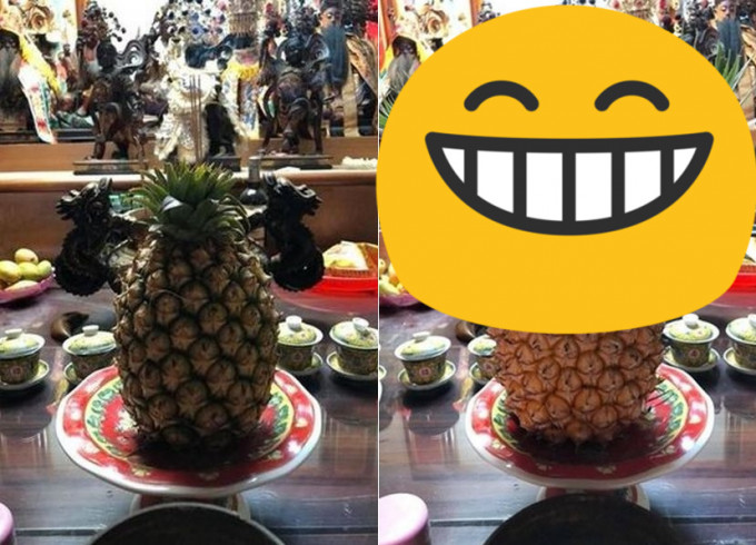 網民家人3天後再到關廟，發現菠蘿長大了。