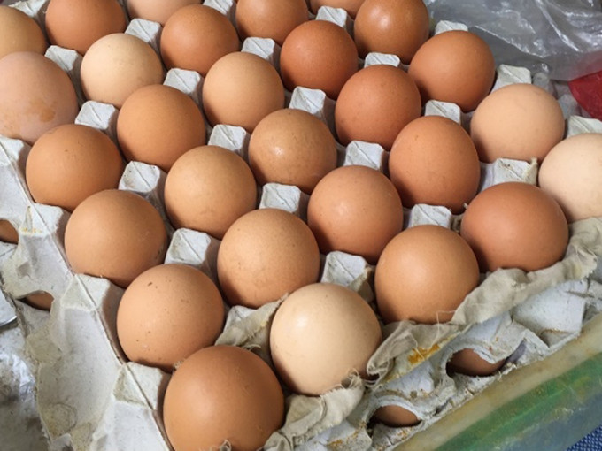 美国Rose Acre Farms于北卡罗莱纳州产出的2亿多颗鸡蛋，传出爱沙门氏菌感染，已全面召回中。（资料图片）