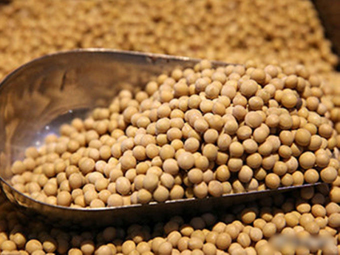 中國大豆買家已向南美地區預購明年2月及3月付運的大豆，並計劃在南美國家打造「糧食碼頭」。 示意圖