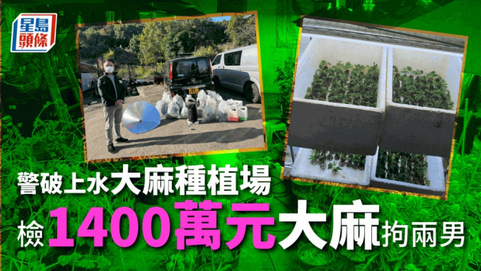 警方破1400万元大麻案。（梁国峰摄）