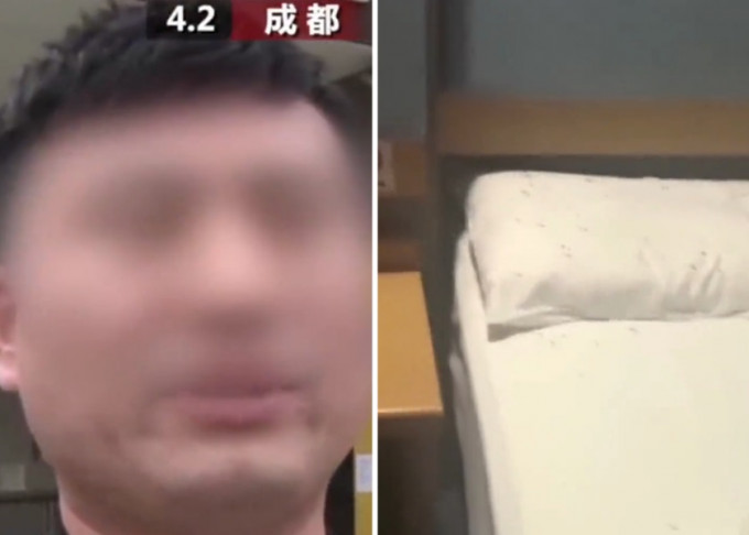四川男子张先生日前在酒店房间睡觉时，惊觉床铺布满白蚁。影片截图
