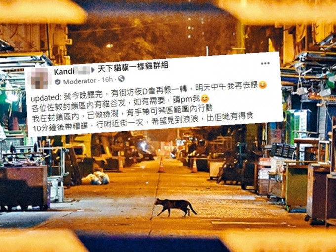 Facebook群組「天下貓貓一樣貓」其中一名版主Kandi，昨日主動遊走「受限區域」為貓貓們送上晚餐。資料圖片（小圖為Facebook截圖）
