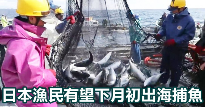 日俄就三文魚及鱒魚捕撈配額達成協議。網圖