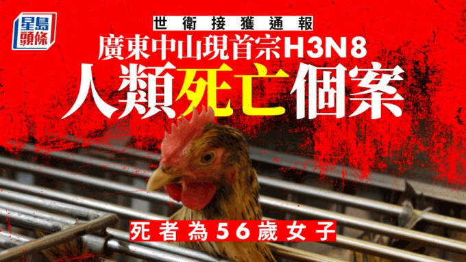 广东省中山市一名女子感染H3N8禽流感患者死亡，成全球首宗人类死亡个案。
