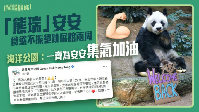 大熊貓安安過去兩周食慾不振，故未有出現於展館。