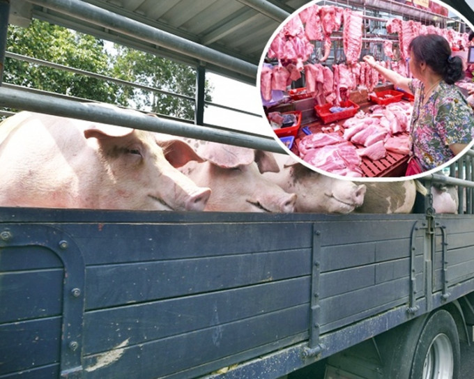 內地近日供港活豬數量減少，市民要捱貴豬肉。資料圖片