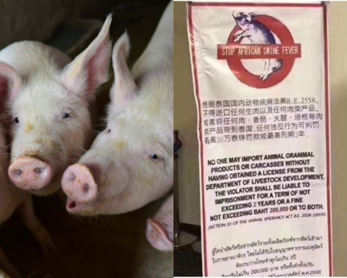 泰国禁旅客带猪肉入境。