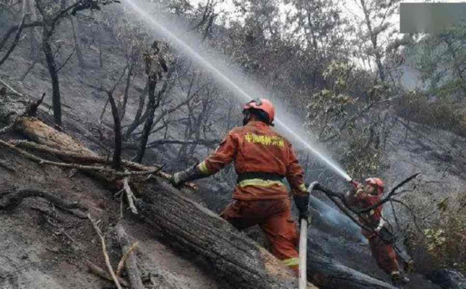 四川凉山「3.28」森林火灾消防奋力扑救。