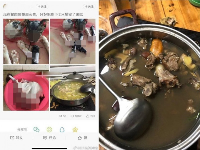 内地有网民张贴宰猫，以及煮狗肉的照片，被网民狂轰冷血。（网图）