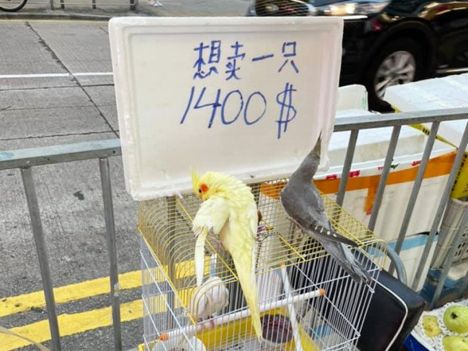 元朗懷疑有人非法售賣動物。「香港突發事故報料區」FB圖片