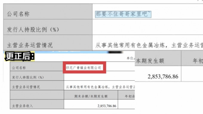 廣州新晉世界500強廣新集團年報打錯字，出現奇怪的子公司名。