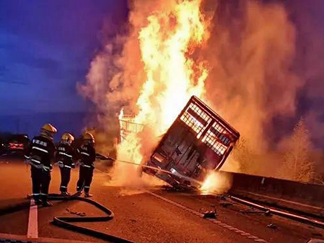 山東一輛運豬貨車遇事燃燒起火，車上近百隻豬活活燒死。網圖