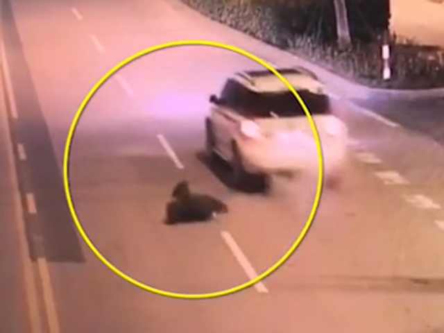 從閉路電視畫面可見，一名男子突然開車門，跌出車外。 網上圖片