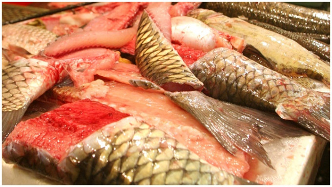 食安中心在中環一新鮮糧食店的鯇魚樣本驗出孔雀石綠，已下令停售。