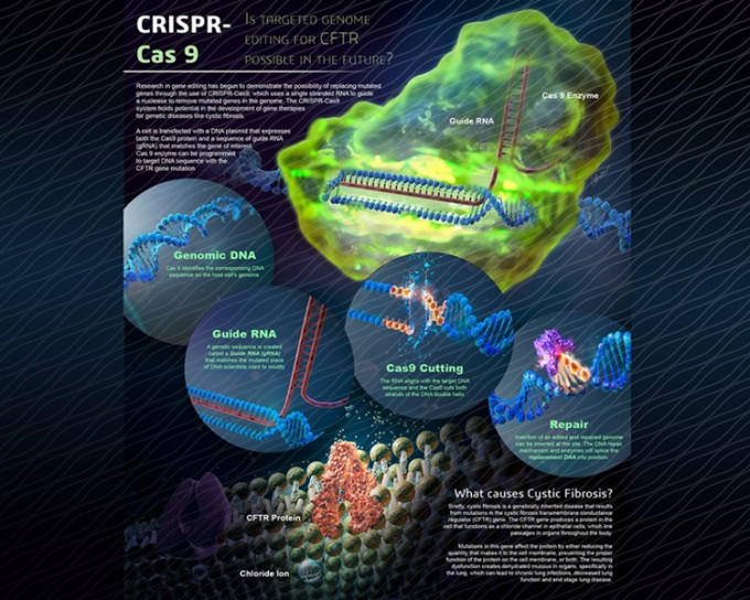 CRISPR-Cas9「人類胚胎基因編輯」技術。網圖