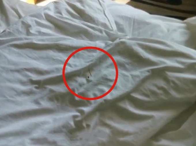 女留学生抱怨酒店肮脏邋遢，床单上有血渍。网图