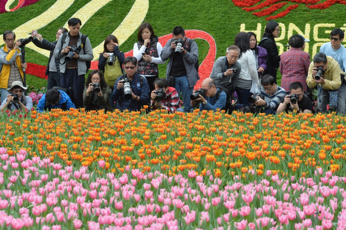 花展盆栽下月26日公开派发给市民。资料图片